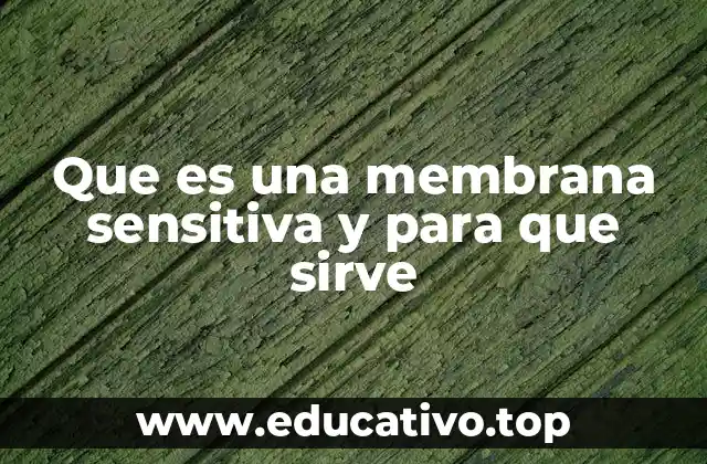Que es una membrana sensitiva y para que sirve