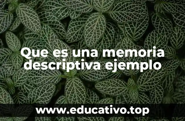 Que es una memoria descriptiva ejemplo