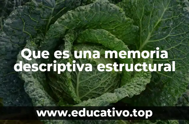 Que es una memoria descriptiva estructural