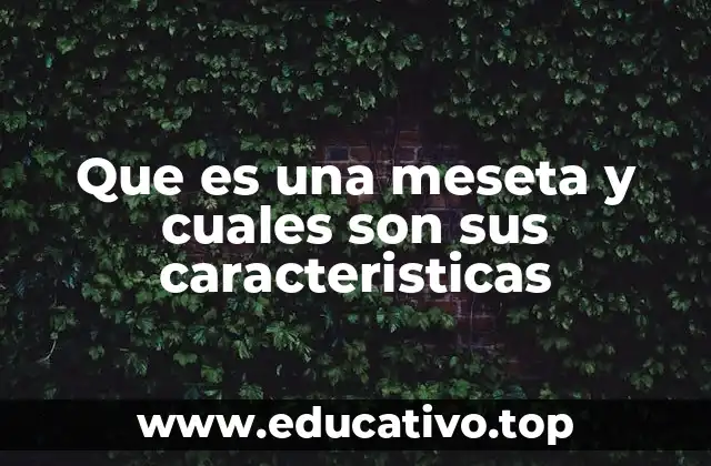 Que es una meseta y cuales son sus caracteristicas