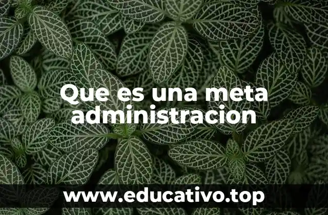 Que es una meta administracion
