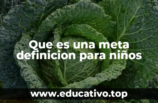 Que es una meta definicion para niños