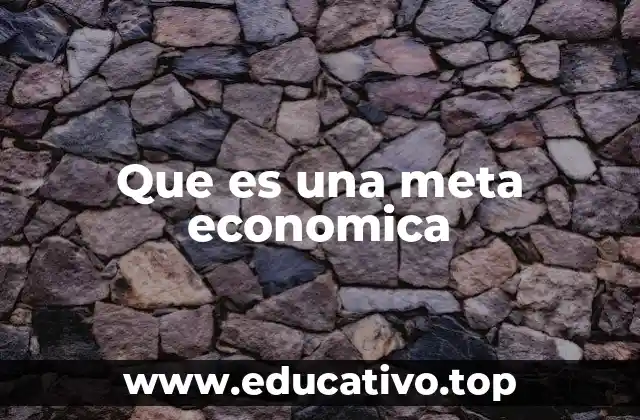 Que es una meta economica