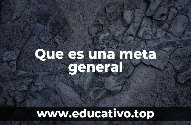 Que es una meta general