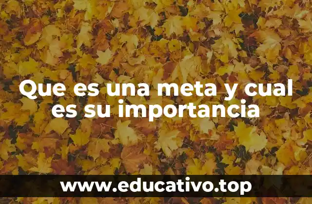 Que es una meta y cual es su importancia