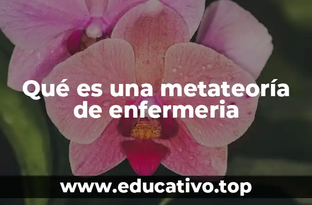Qué es una metateoría de enfermeria