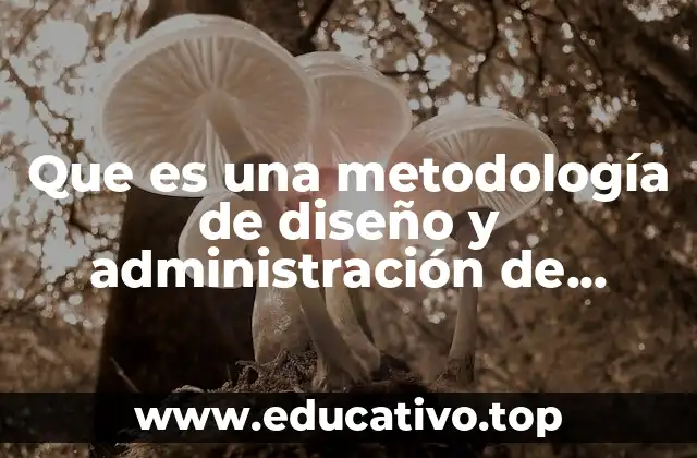Que es una metodología de diseño y administración de proyecto
