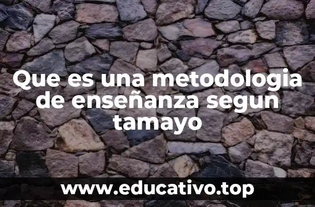 Que es una metodologia de enseñanza segun tamayo