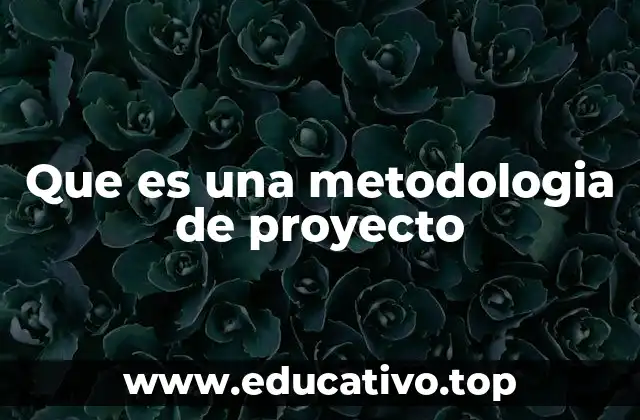 Que es una metodologia de proyecto