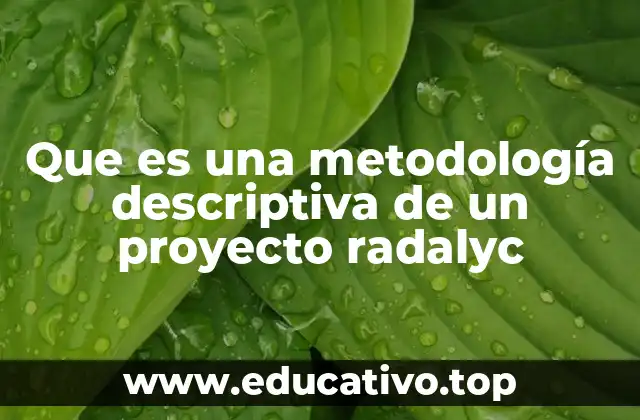 Que es una metodología descriptiva de un proyecto radalyc