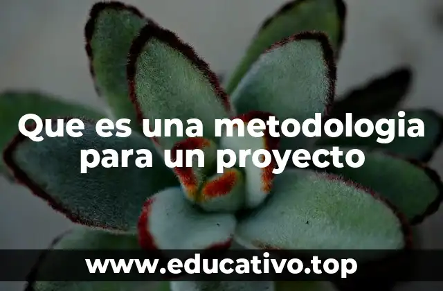 La importancia de estructurar un proyecto