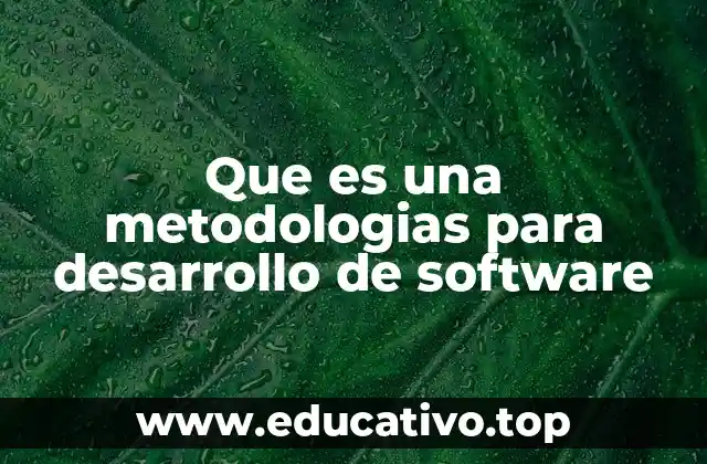 Que es una metodologias para desarrollo de software