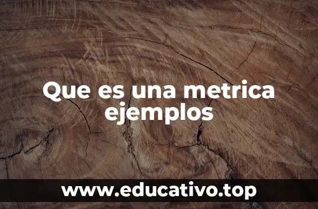 Que es una metrica ejemplos