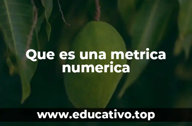 Que es una metrica numerica