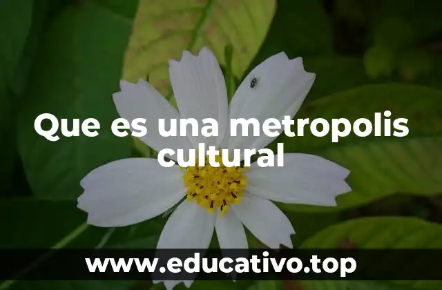 Que es una metropolis cultural