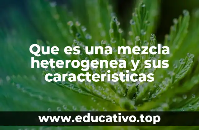 Que es una mezcla heterogenea y sus caracteristicas