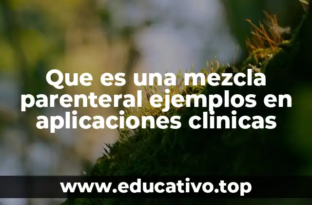 Que es una mezcla parenteral ejemplos en aplicaciones clinicas