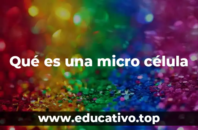 Qué es una micro célula