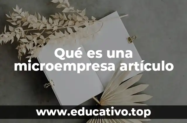 Qué es una microempresa artículo