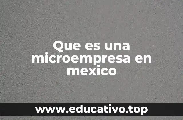 Que es una microempresa en mexico