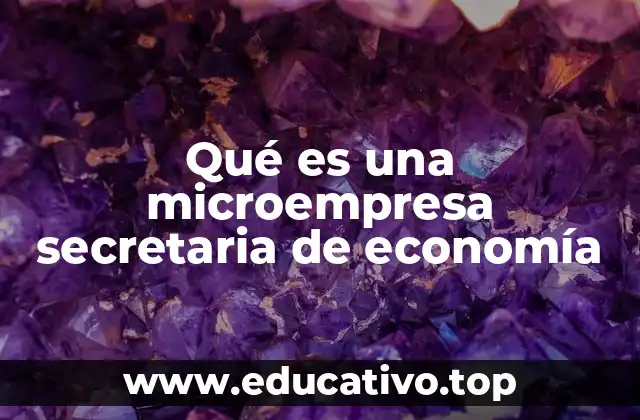 Qué es una microempresa secretaria de economía