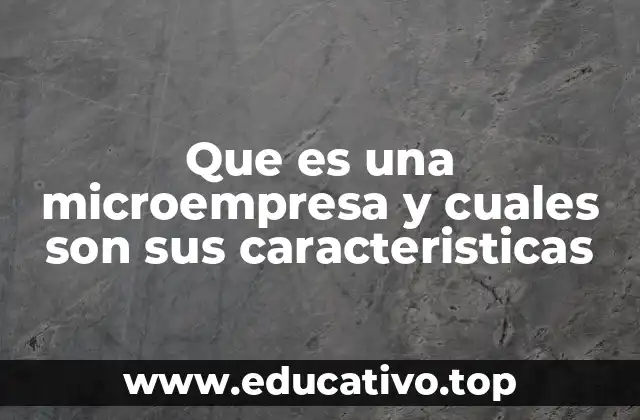 Que es una microempresa y cuales son sus caracteristicas
