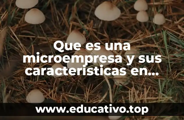 Que es una microempresa y sus caracteristicas en mexico