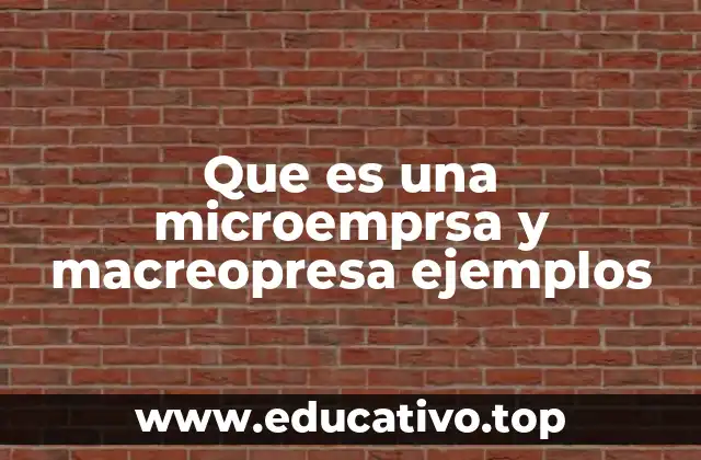 Que es una microemprsa y macreopresa ejemplos