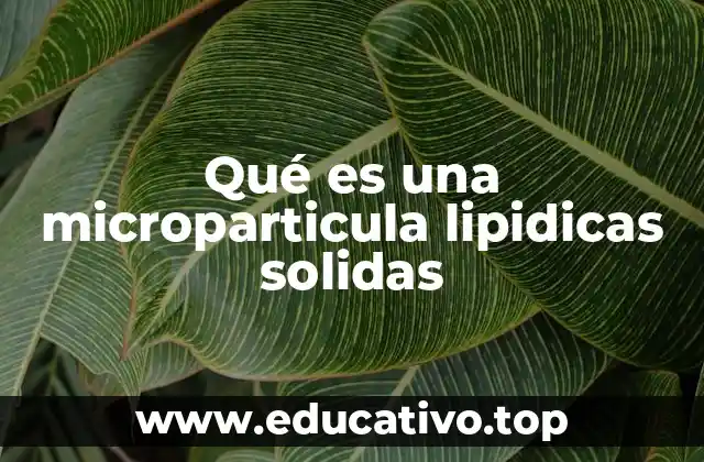 Qué es una microparticula lipidicas solidas