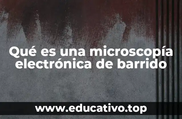 Qué es una microscopía electrónica de barrido
