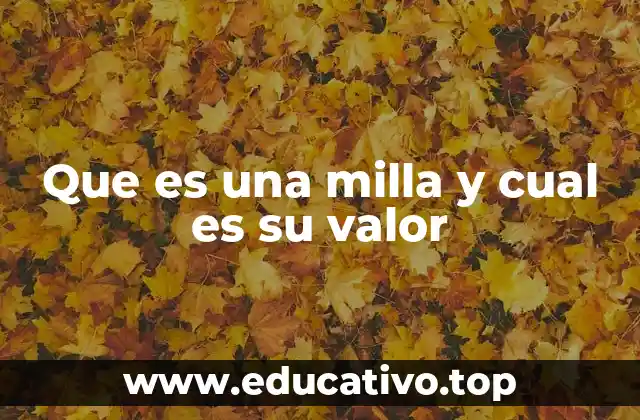 Que es una milla y cual es su valor