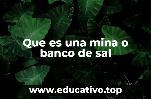 Que es una mina o banco de sal