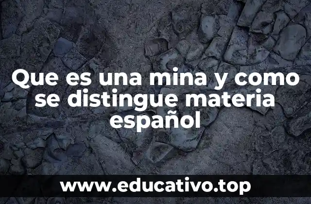 Que es una mina y como se distingue materia español
