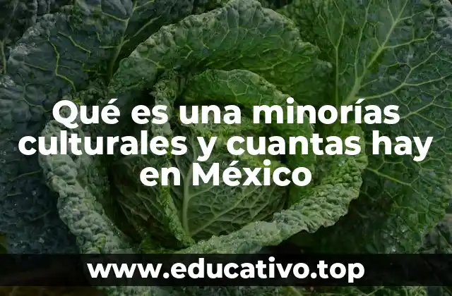 Qué es una minorías culturales y cuantas hay en México