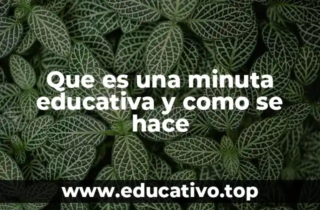Que es una minuta educativa y como se hace