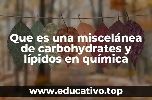 Características y propiedades de una mezcla de carbohidratos y lípidos