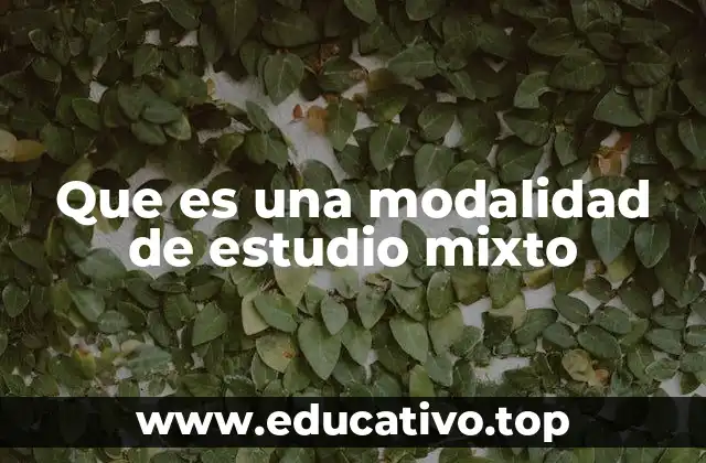 Que es una modalidad de estudio mixto