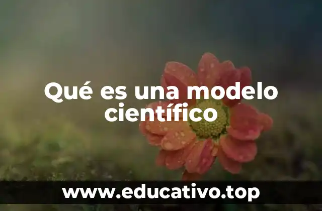 Qué es una modelo científico