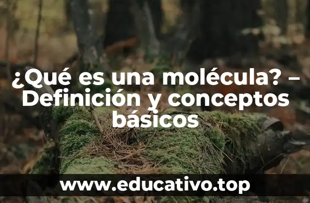 ¿Qué es una molécula? – Definición y conceptos básicos