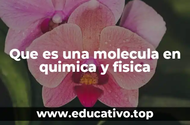 Que es una molecula en quimica y fisica