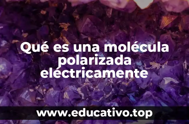 Qué es una molécula polarizada eléctricamente
