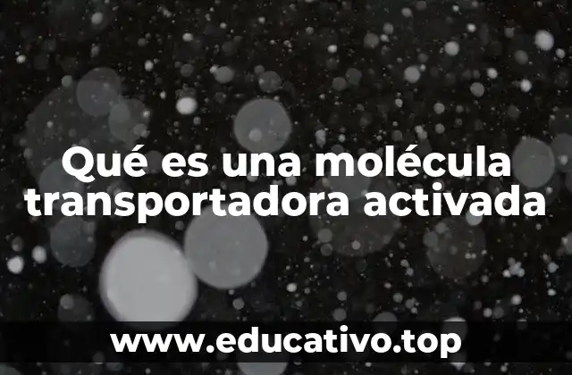 Qué es una molécula transportadora activada