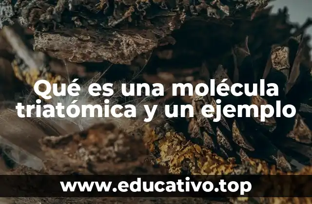 Qué es una molécula triatómica y un ejemplo