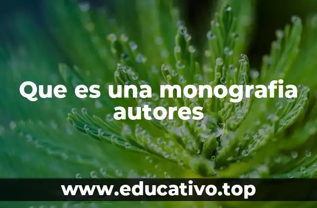 Que es una monografia autores