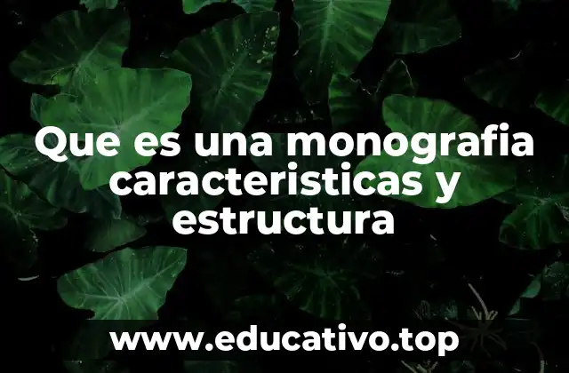 Que es una monografia caracteristicas y estructura
