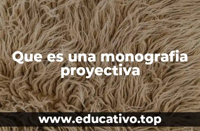 La importancia de la planificación en una monografía proyectiva