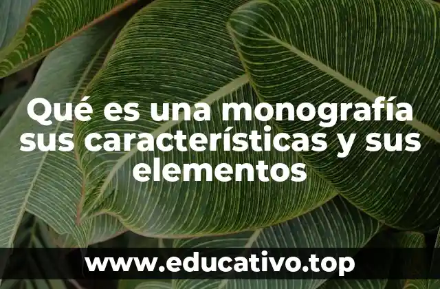 Qué es una monografía sus características y sus elementos
