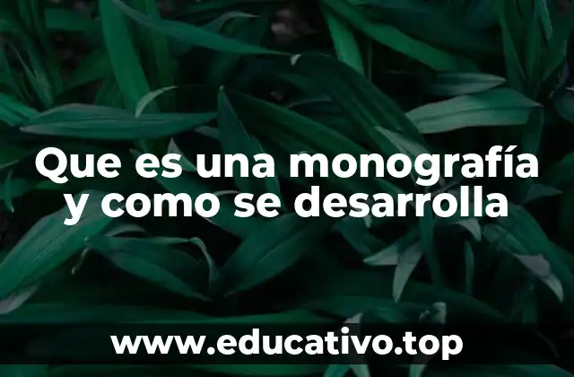 Que es una monografía y como se desarrolla