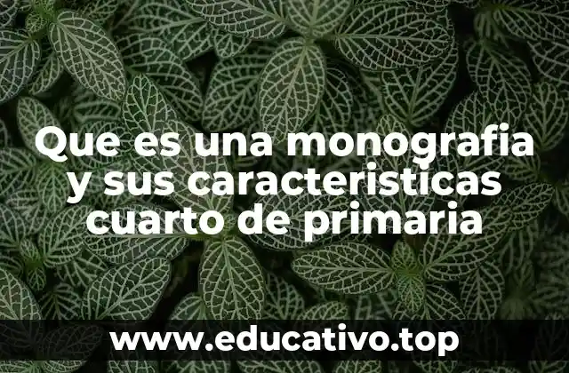 Que es una monografia y sus caracteristicas cuarto de primaria