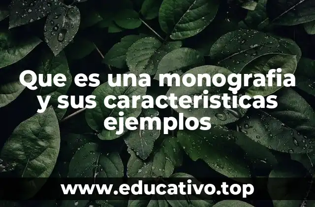 Que es una monografia y sus caracteristicas ejemplos